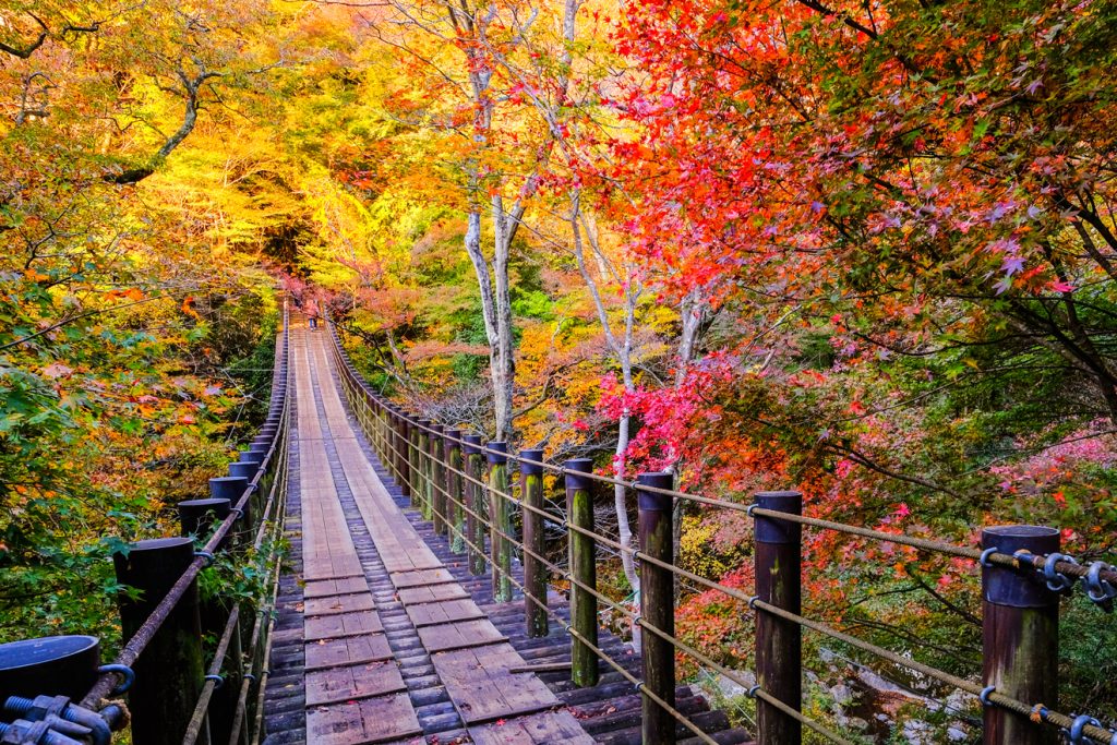紅葉の汐見滝吊り橋